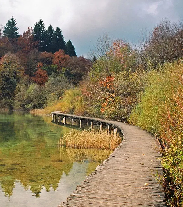 Wood path beside lake in national park